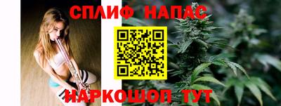 СК Краснодар