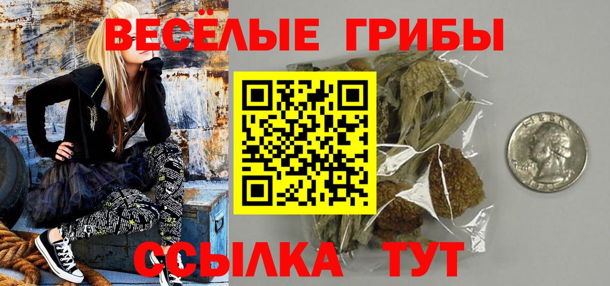 Псилоцибиновые грибы GOLDEN TEACHER Котельники